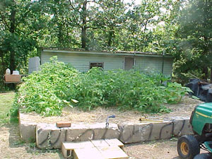 001garden.jpg