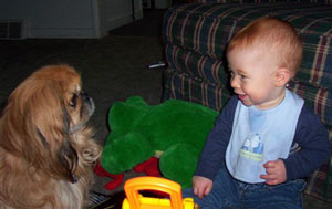 Aidan and Charlie (Pekingese)