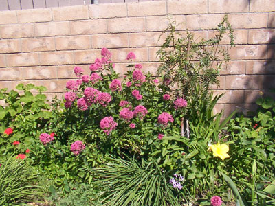 aprilflowers3.jpg