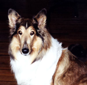 Our Pretty Baby, Bailey