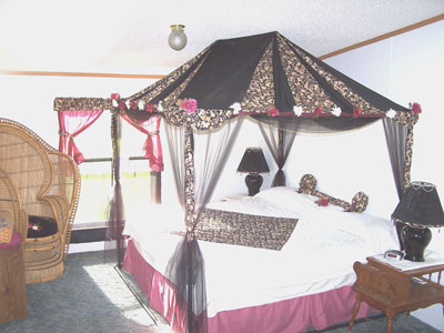  Princess  Canopy on Canopy Curtains Bedding On Make Your Own Bed Canopy