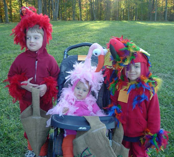 Bird Halloween Costumes