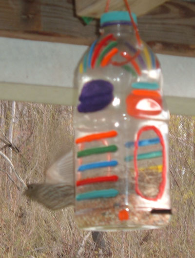 birdhousejug.jpg