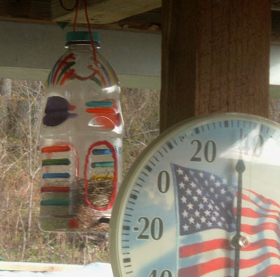 birdhousejug3.jpg