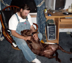 Bonnie (Chocolate Lab)