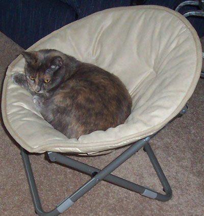 chbunniebobtail.jpg