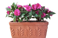 Creative Container Gardens