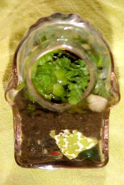 dishgarden2.jpg