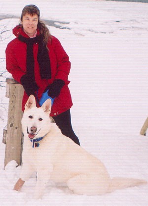 Donner (American White Shepherd)