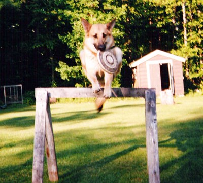 dukejump.jpg