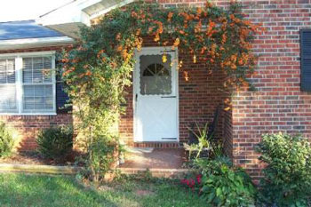 Firethorn at Entry