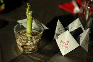 Wedding Cootie Catchers!