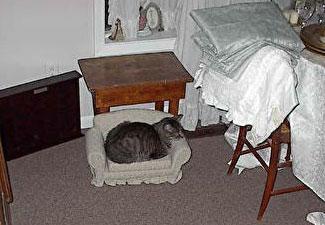 Fuzzball - Couch Potato