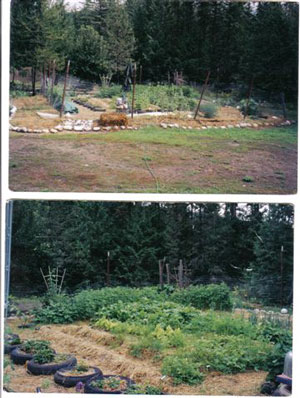 Using Straw For Low Maintenance Garden