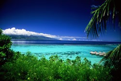 Green Travel