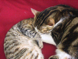 Jack and Faith