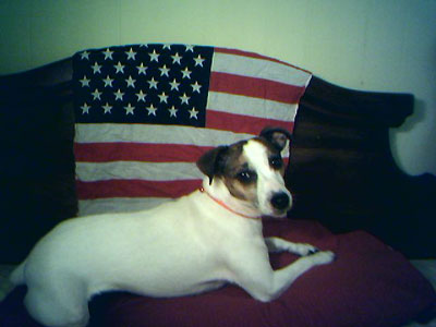 jolee_jrt.jpg