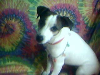 jolee_jrt2.jpg