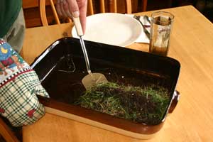 An Introduction to Lasagna Gardening