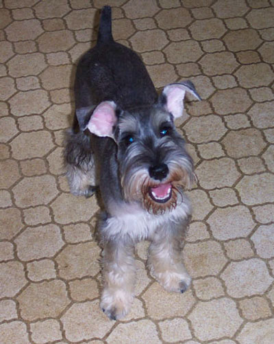 murphy3.jpg