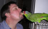 Peppy the Parrot