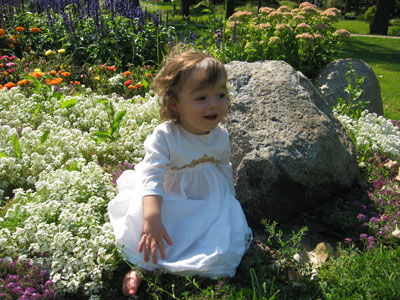 Taking Pictures in Flowers