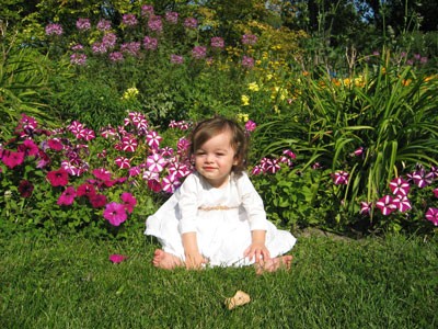 Taking Pictures in Flowers