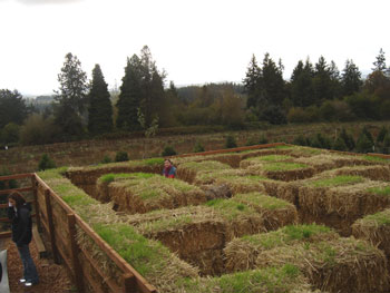 Plumper Pumpkin Patch Visit
