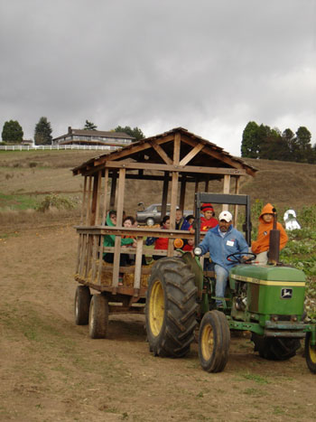 Plumper Pumpkin Patch Visit