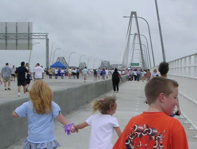 ravenelbridge2.jpg