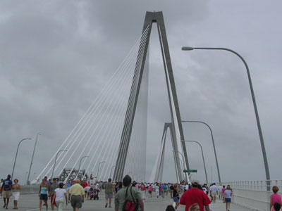 ravenelbridge3.jpg