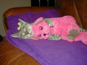 Sadie and Her Security Blanket