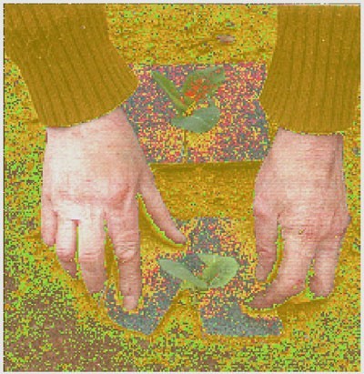 sandpaper.jpg