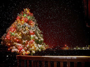 Taking Pictures of Snow