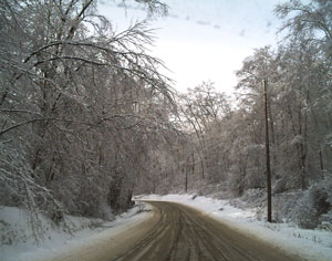 Winter Storm