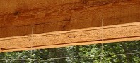 trellis2.jpg