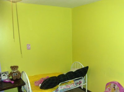 wallyellow.jpg