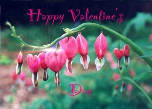 Garden Flowers Valentine
