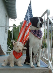 Barkley and Scruffy - Patriotic Pups