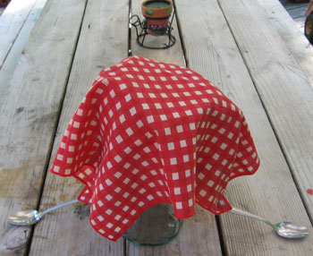 Beverage Cover