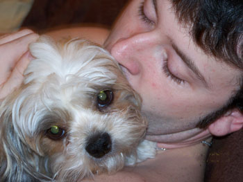 Katie-Alanis (Shih-tzu)