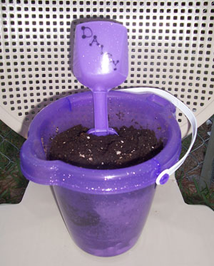 Sand Pail Planters