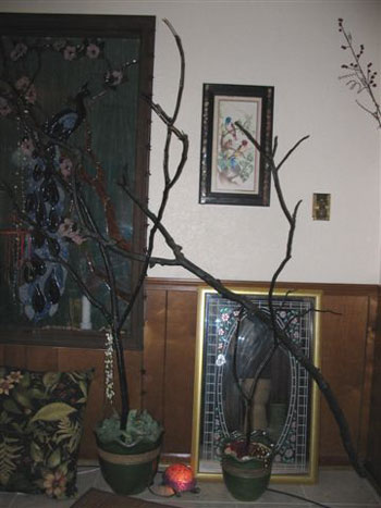 Tree to Decorate