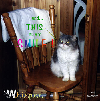 W.h.i.s.p.e.r. - Persian Cat