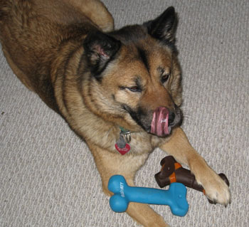 ThriftyFun's Maggie