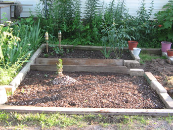 Rays of Hope Garden