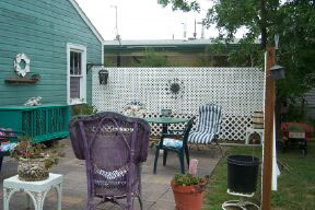 Backyard Before