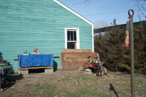 Backyard Before