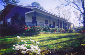 Blooming Shrubbery