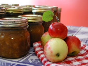 Canning to Save Money